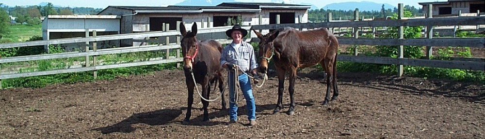 Gilbert Roy – A lifetime of horses