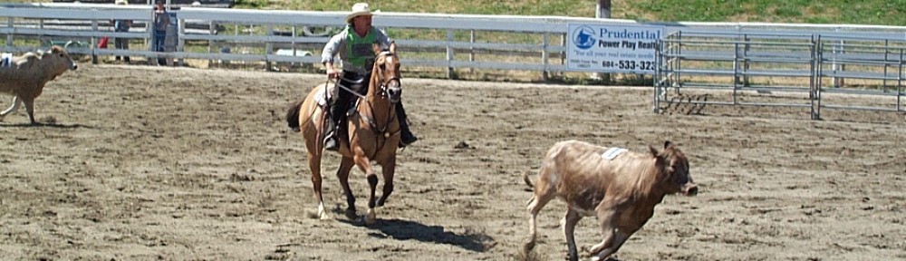 Gilbert Roy – A lifetime of horses