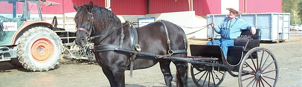 Gilbert Roy – A lifetime of horses