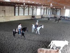 Gilbert on his Canadian Horse mare and Kelli Lee on her Arab