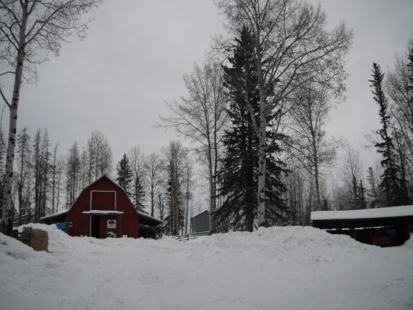 Barnyard snow piles2