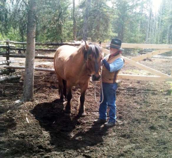 Frank and his Highland Pony Lairg