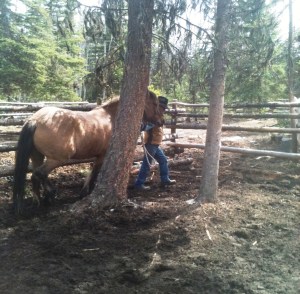 Working on the lead line