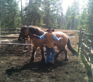 Fundamental groundwork is essential for establishing good communication