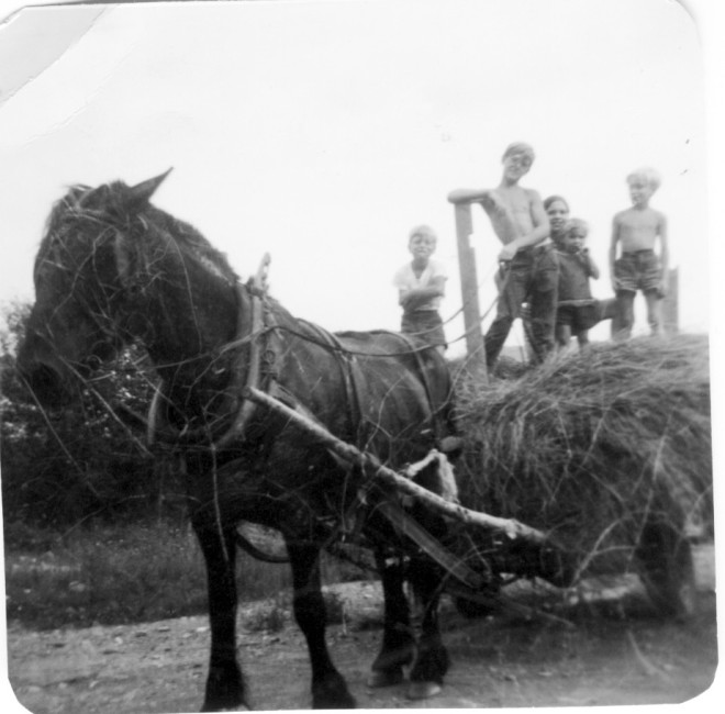Gilbert and P'tit with a young work crew hauling hay.